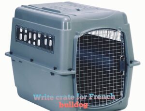 Travel Crates For French bulldogs
