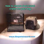 Travel Crates For French bulldogs