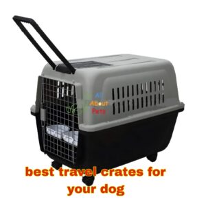 Plastic Crate for a French Bulldog