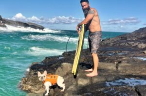 Surfing French Bulldog