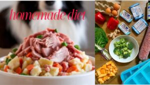 Natural Home Remedies for French Bulldog with Allergies| thepetsinword 6 Natural Home Remedies for French Bulldog with Allergies