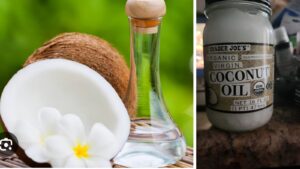 Coconut Oil for Pores and skin Therapeutic and Flea Repellent