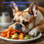 Best Food for Frenchies with Allergies