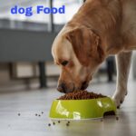 Best Dog Food for Labrador with Joint Problems in 2025|thepetsinworld