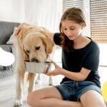 Best Labrador Food Brand for Muscle Growth in 2025