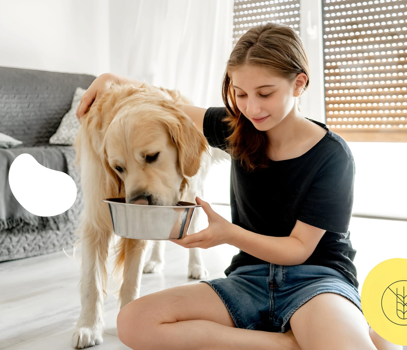 Best Labrador Food Brand for Muscle Growth in 2025