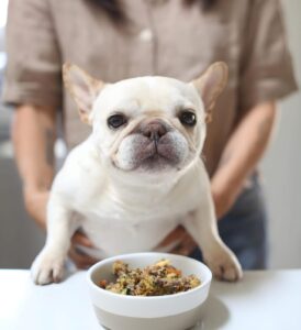 Homemade Food Recipes for French Bulldogs with Allergies