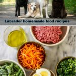 Homemade Food Recipes for Labrador Puppies|thepetsinworld