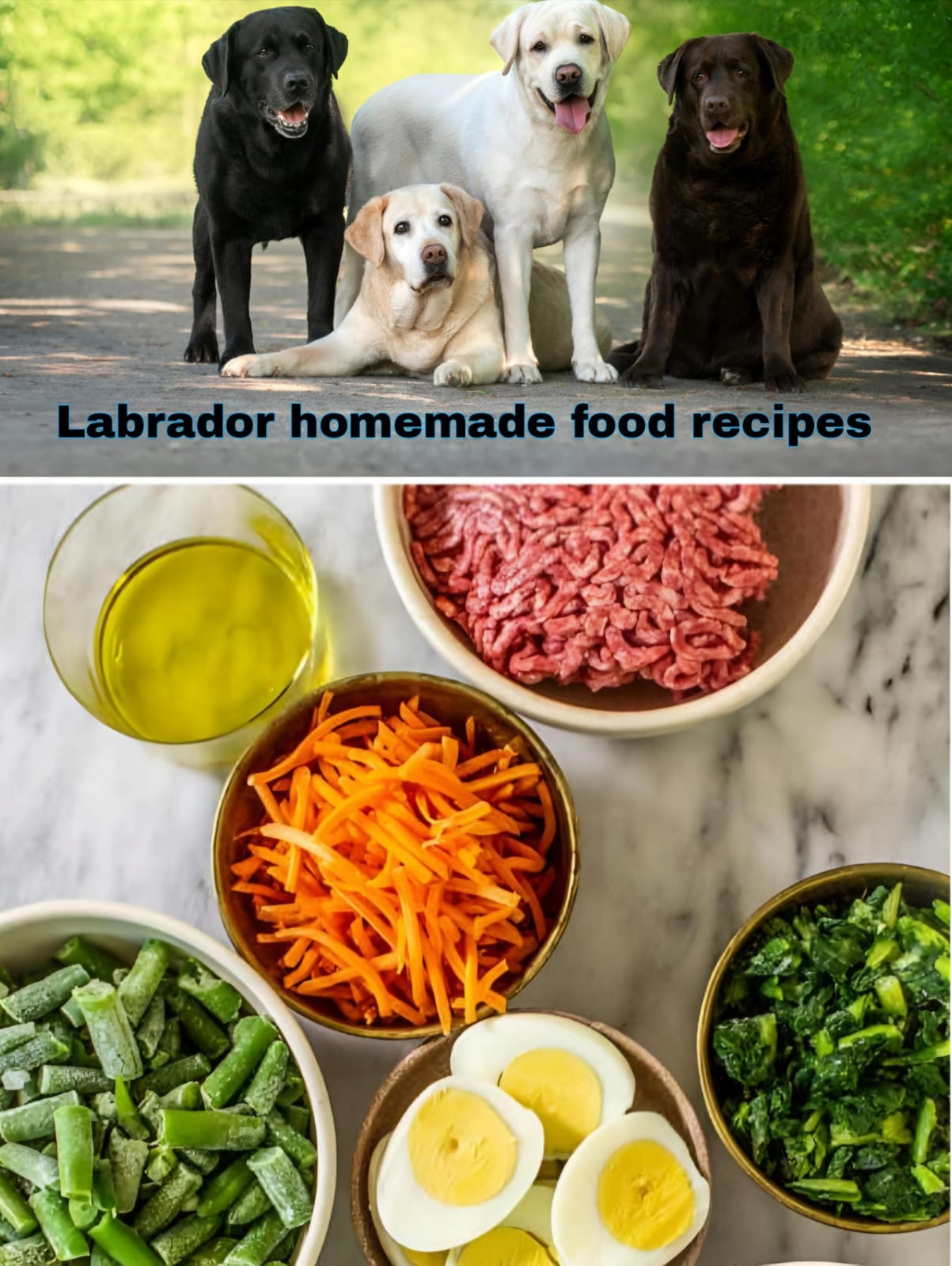Homemade Food Recipes for Labrador Puppies|thepetsinworld