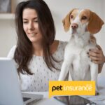 How Much Is Pet Insurance Per Month? A 2025 Guide for Smart Pet Owners