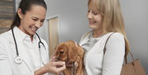 Best Pet Insurance for Large Breed Dogs| thepetsinworld
