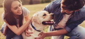 Labrador Puppy Care Tips for First-Time Owners-thepetsinworld