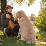 Labrador Puppy Care Tips for First-Time Owners-thepetsinworld