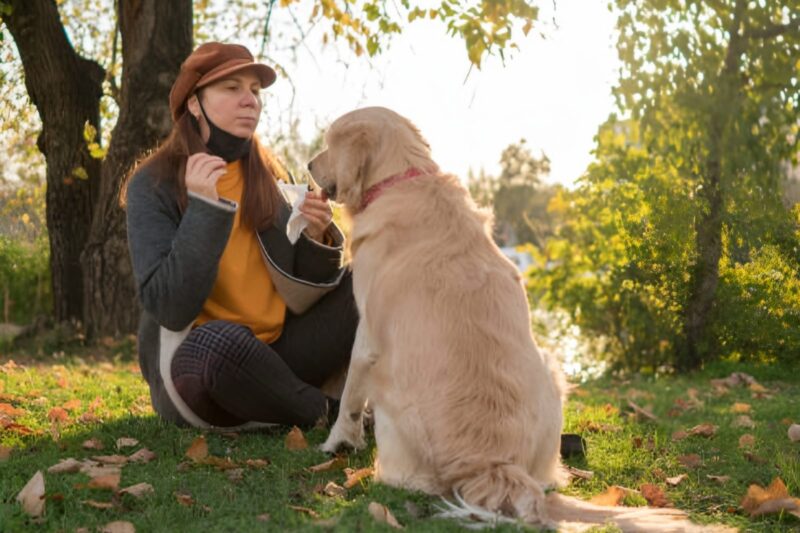 Labrador Puppy Care Tips for First-Time Owners-thepetsinworld