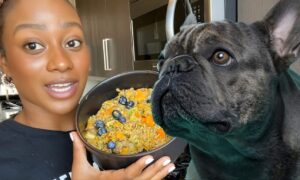 What is the Most Suitable Diet for a French Bulldog?
