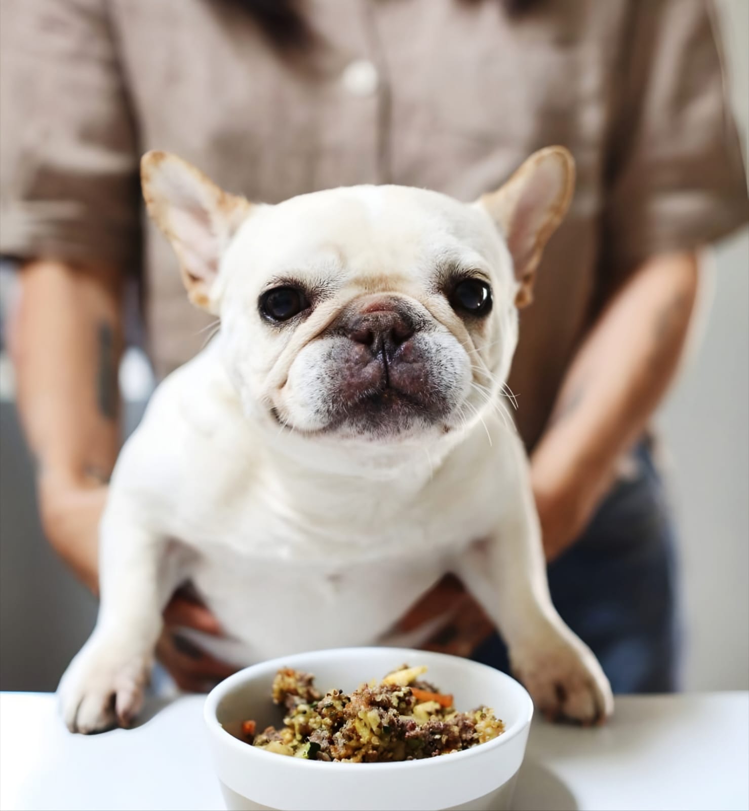 What is the Most Suitable Diet for a French Bulldog?