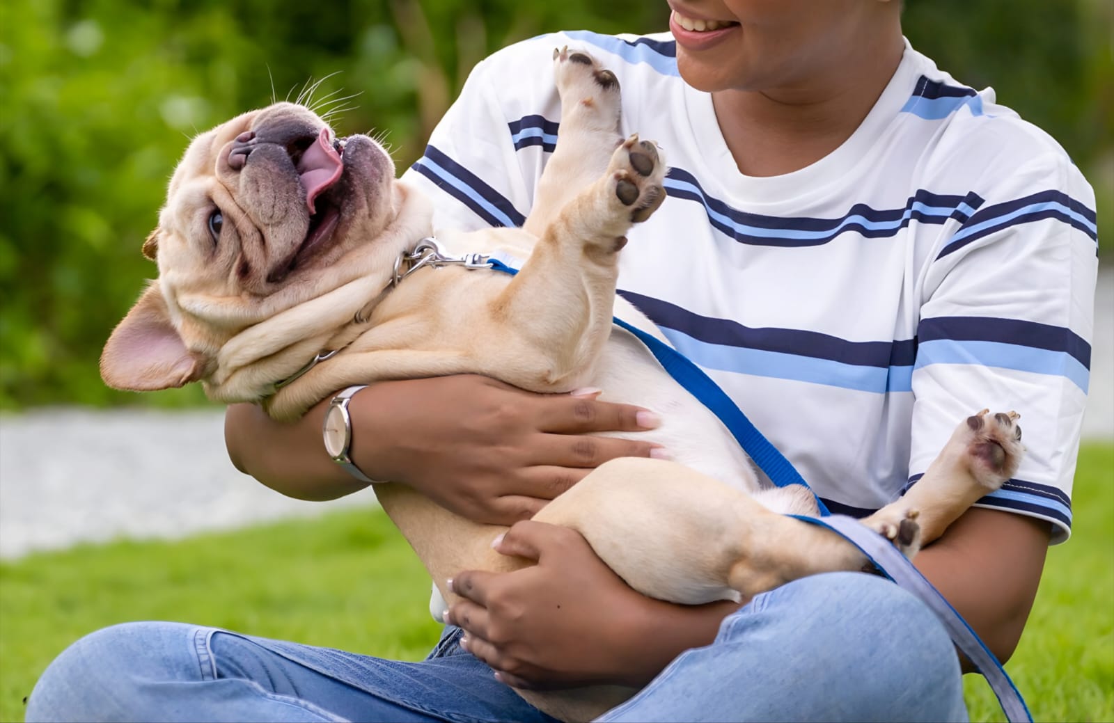 How Long Do French Bulldogs Live? Everything You Need to Know