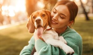 Best Pet Insurance for Dogs with Hip Dysplasia