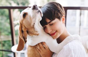 Best Pet Insurance for Dogs with Hip Dysplasia