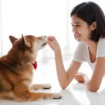 Best Pet Insurance for Dogs with Hip Dysplasia