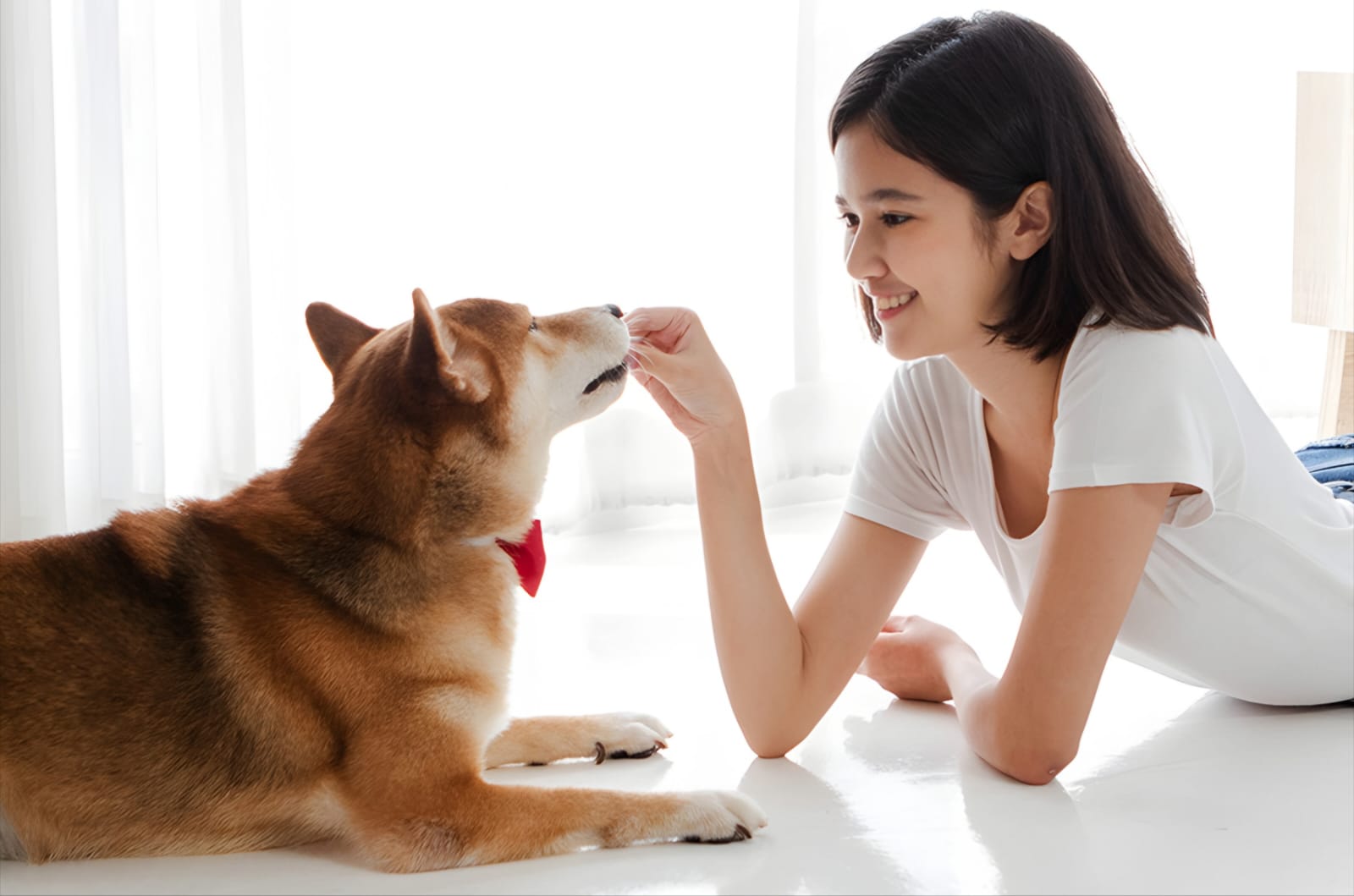 Best Pet Insurance for Dogs with Hip Dysplasia