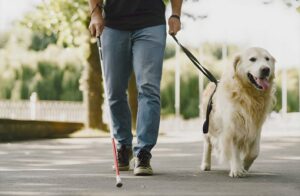 How to Obtain Pet Insurance for Dogs