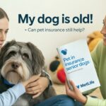 How to Obtain Pet Insurance for Dogs