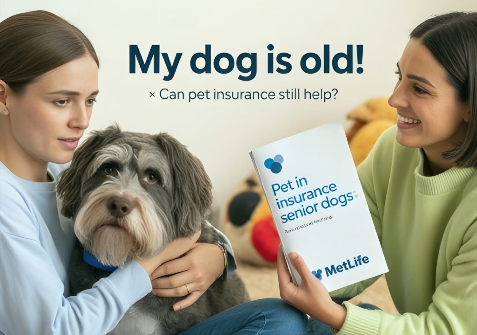 How to Obtain Pet Insurance for Dogs