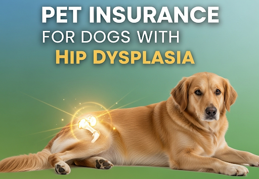 Best Pet Insurance for Dogs with Hip Dysplasia: Complete Guide (2025) Best Pet Insurance for Dogs with Hip Dysplasia: