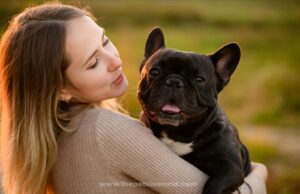 The Adorable World of French Bulldogs 🐶🇫🇷